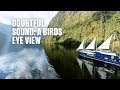 Doubtful Sound, New Zealand in 360: A bird's eye view