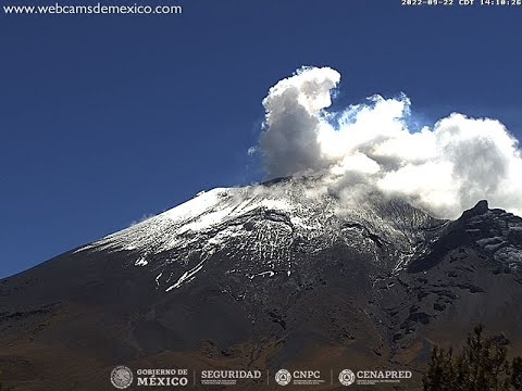 Volcán #Popocatépetl hoy con actividad continua y cielo despejado EN VIVO