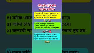 assamese knowledgeable quotes ✨️ 📚 #assamese #info #gk #healthtips #Informative #shorts