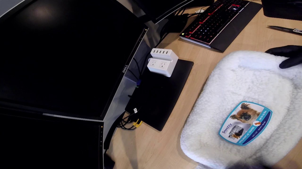 Rebel Blackstone Versus Precision Pet Crate Fleece Pad