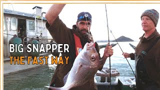 Coromandel Snapper Farm | Fishing with Ron by the Barges