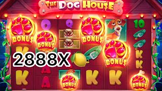 STRIMDAGI TOP 5 ta zanoslar🤩 The dog House 2888Х max win 149.000.000 söm yutuq🤩🍋 screenshot 3