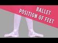 Position of Feet in Ballet | Ballet Foundation #Shorts 2020 の動画、YouTube動画。