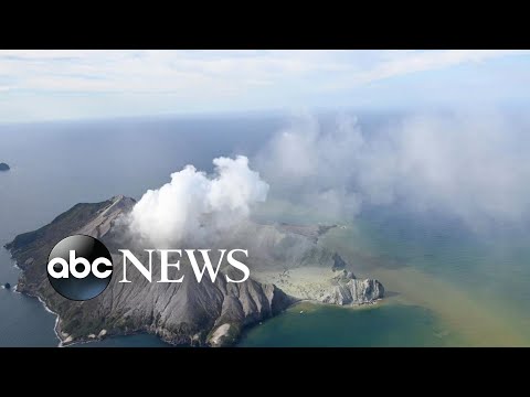 Tourists flee as volcano erupts in New Zealand