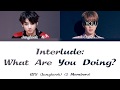 BTS (Jungkook) (2 Members) β Interlude: What Are You Doing? - Color Coded Han/Rom/Esp/Eng