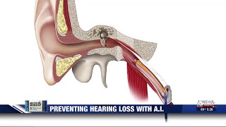 Medical Moment: Preventing hearing loss with AI