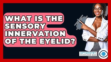 What Is The Sensory Innervation Of The Eyelid? - Optometry Knowledge Base