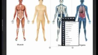Easiteach Next Generation Xray vision