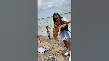 Cá Lớn - Rô Phi Khủng chiên giòn rụm ở bờ sông 🤩 #khacthuyvlogg