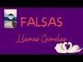 Falsas Llamas... El Catalizador/Falsa Llama/Narcisista de la Llama Gemela...