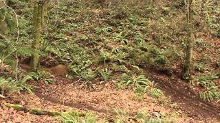 Matt Orlando Winter 2011 12