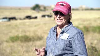 Zinc for Ruminants