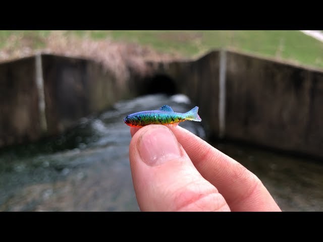 618 fishing tiny lure challenge Arkie Pro Hineee 1/32oz and unlimited ways to rig it This Tiny Lure CHALLENGE had