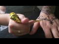 Como hacer un tatuaje de henna (semipermanente) How to do henna tatoos