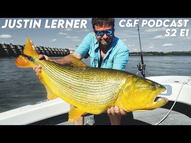 Golden Dorado & Giant Snook with Justin Lerner (C&F Podcast S2E1
