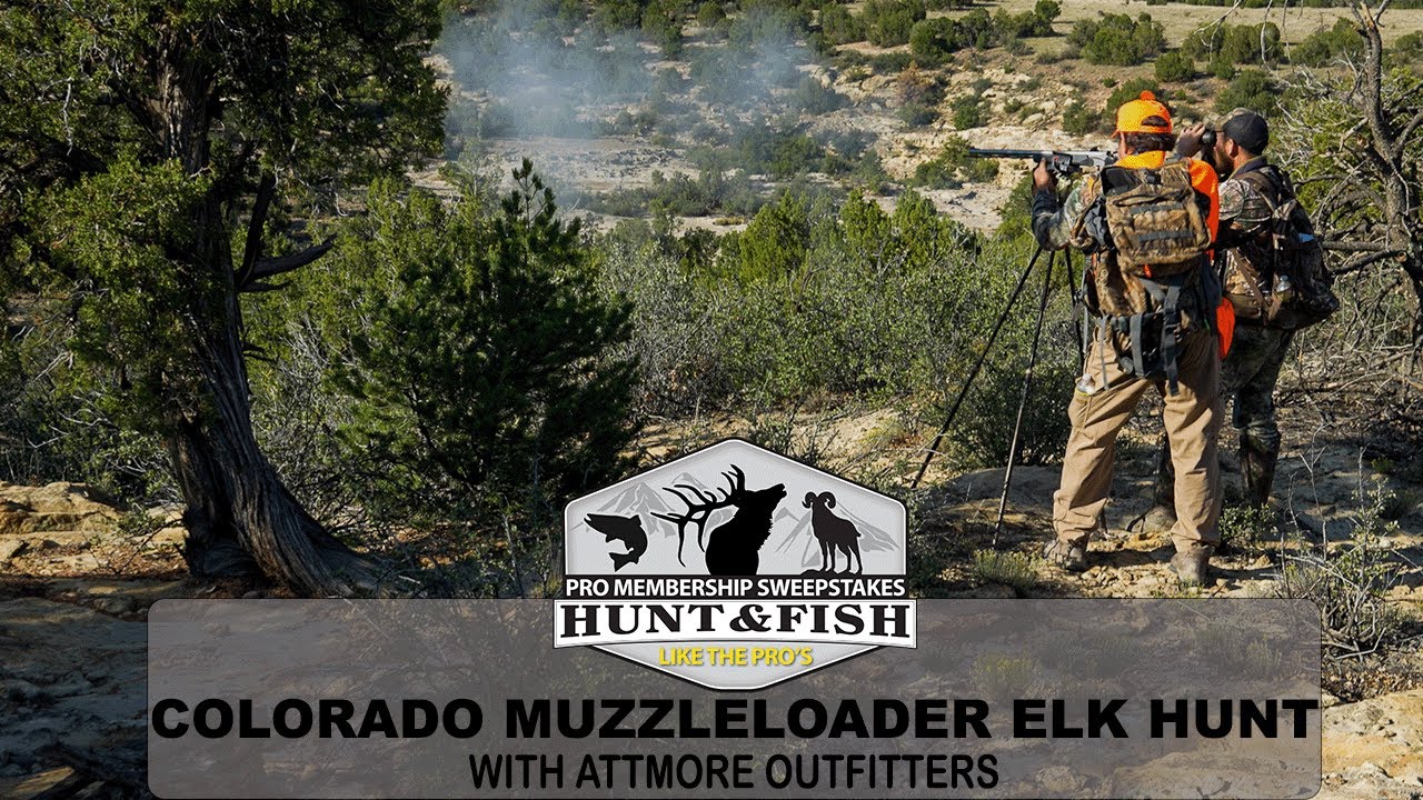 Охота на лося с дульнозарядным ружьем в Колорадо 2022 года с Attmore Outfitters