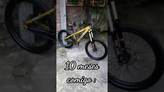 Gios Frx Dourada Dhfreeride - Antes E Depois, Bike Gringa