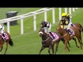ALL RACES | QIPCO King George Day | 29th July 2023