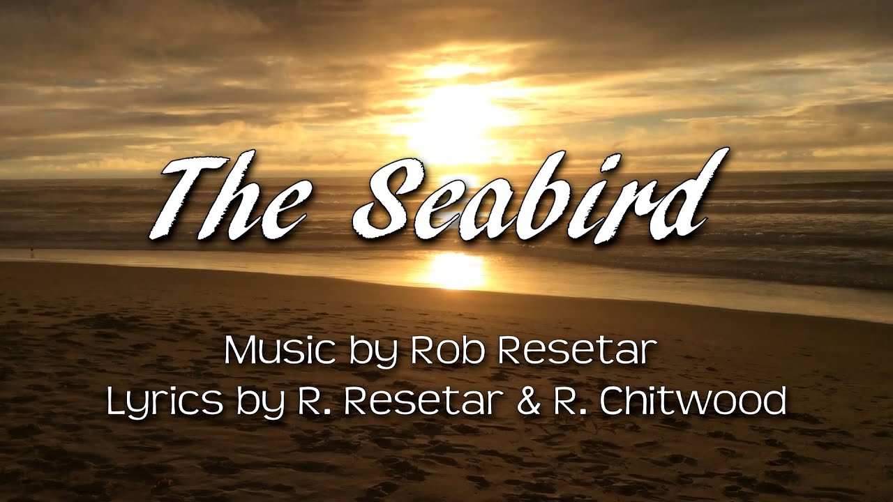SEABIRD by Robert J. Resetar