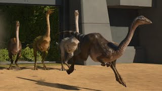 Juric World Evolution 3 Archaeornithomimus