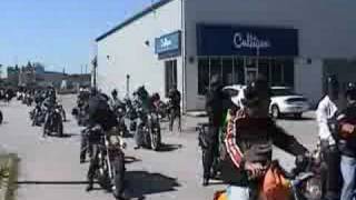 R.o.c.k. 2008 Rolling Out