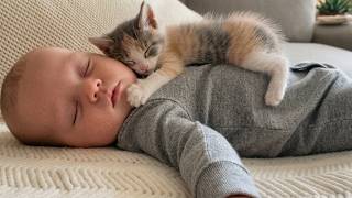 The Sweetest Baby & Kitten Bond Youll See Today