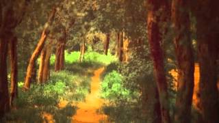 Download Lagu Lord Huron - Time to Run MP3