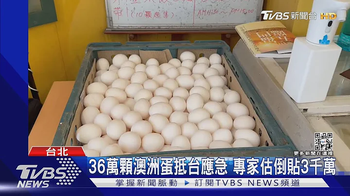 进口蛋恐酿涨价? 陈吉仲:价差农委会吸收｜TVBS新闻 @TVBSNEWS01 - 天天要闻