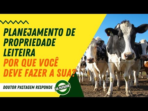 Vídeo: Como Se Inscrever Para Uma Cozinha Leiteira