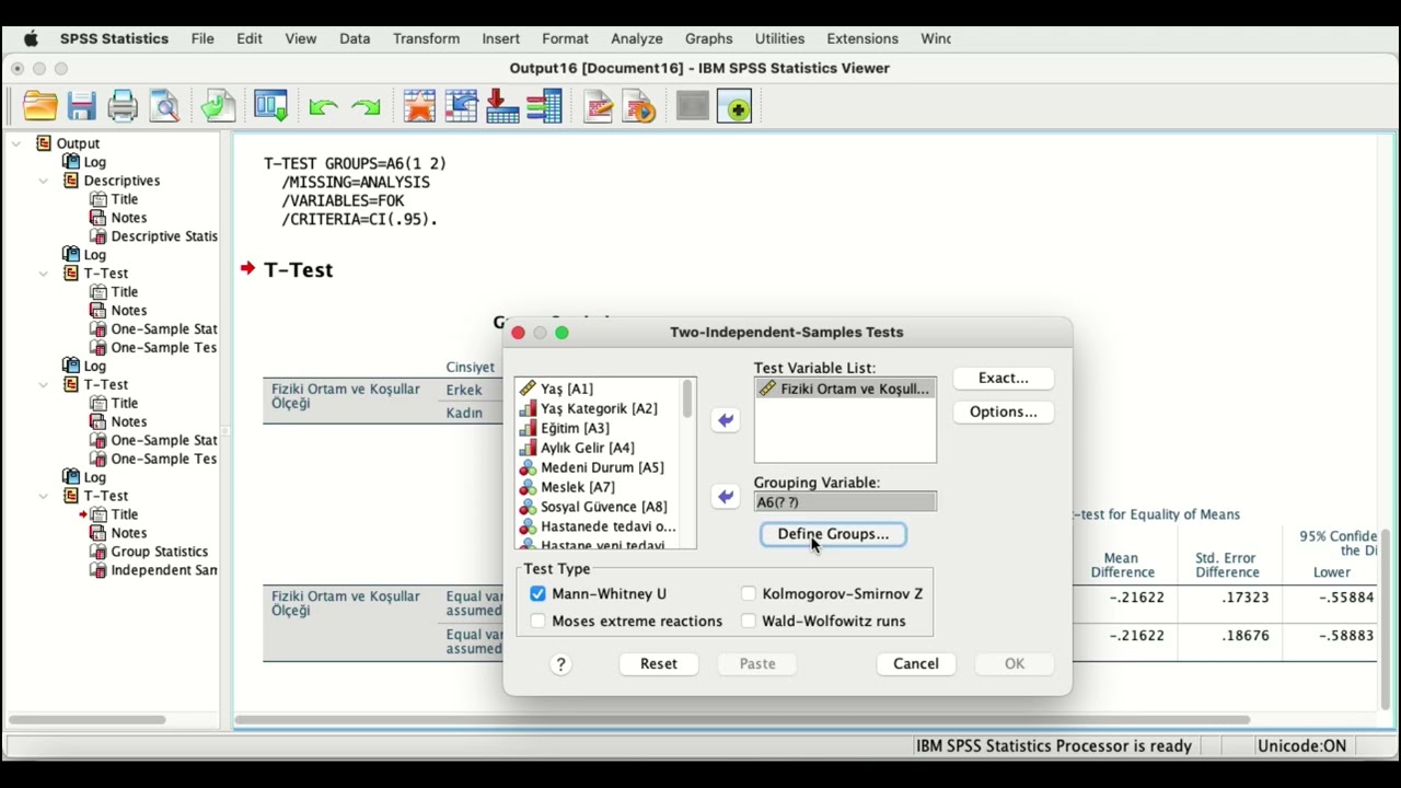 TEMEL SPSS DERSİ 15 - Mann-Whitney U Testi: Parametrik Olmayan İki Grup Karşılaştırması!
