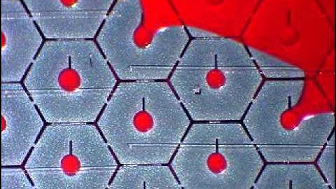 Self Assembly and Electrofluidic Display (3)