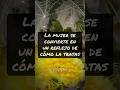 #datospsicologicos #psicologia #psicología #psicologiaonline #psicologiaoscura #datos #datoscuriosos