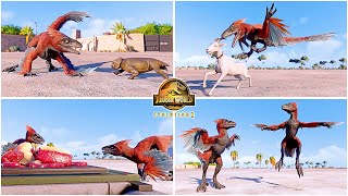 Pyroraptor All Perfect Animations & Interactions 🦖 Jurassic World Evolution 2 - JWE - Dominion DLC