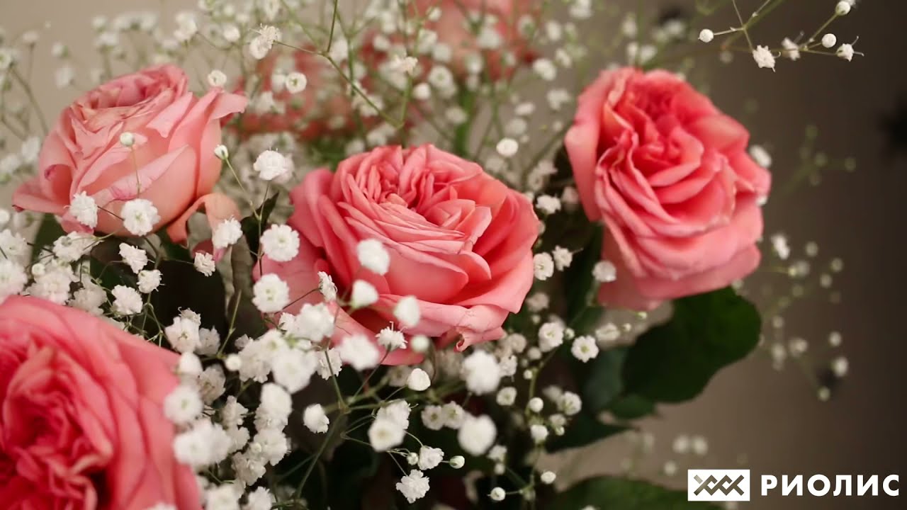 Вышивка свадебной метрики «Обручальные кольца»