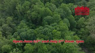 Real Estate Auction - 16 Wooded Acres Residential Building Site - July 9Th 1Pm - Dutton Auctions