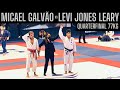 Micael galvo vs levi jonesleary quarterfinal 77kg abu dhabi world professional jiu jitsu 2021