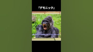 『デモニック』【ゆっくり映画雑談】【ネタバレ無し】