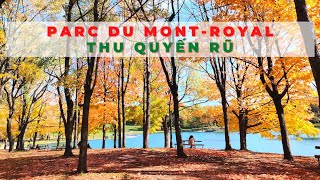 Công viên tuyệt đẹp ở Montreal | Mùa thu Canada | Parc Mont-Royal
