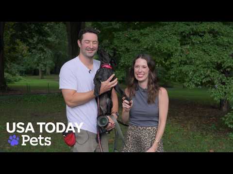 How The Dogist turned dog photos into a beloved brand, new business