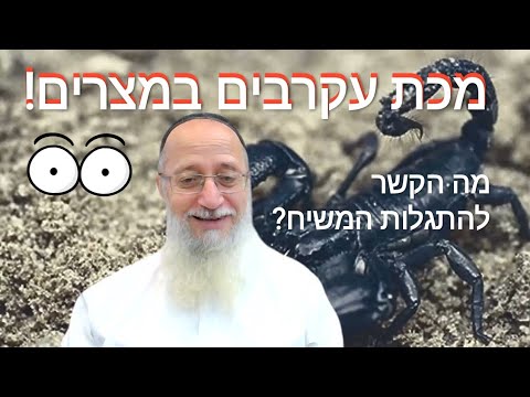 וִידֵאוֹ: מה זה "צ'ינזאנו"