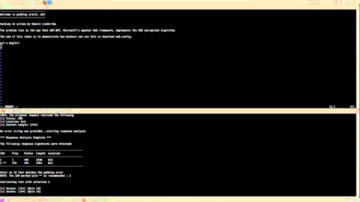 .NET Padding Oracle Attack