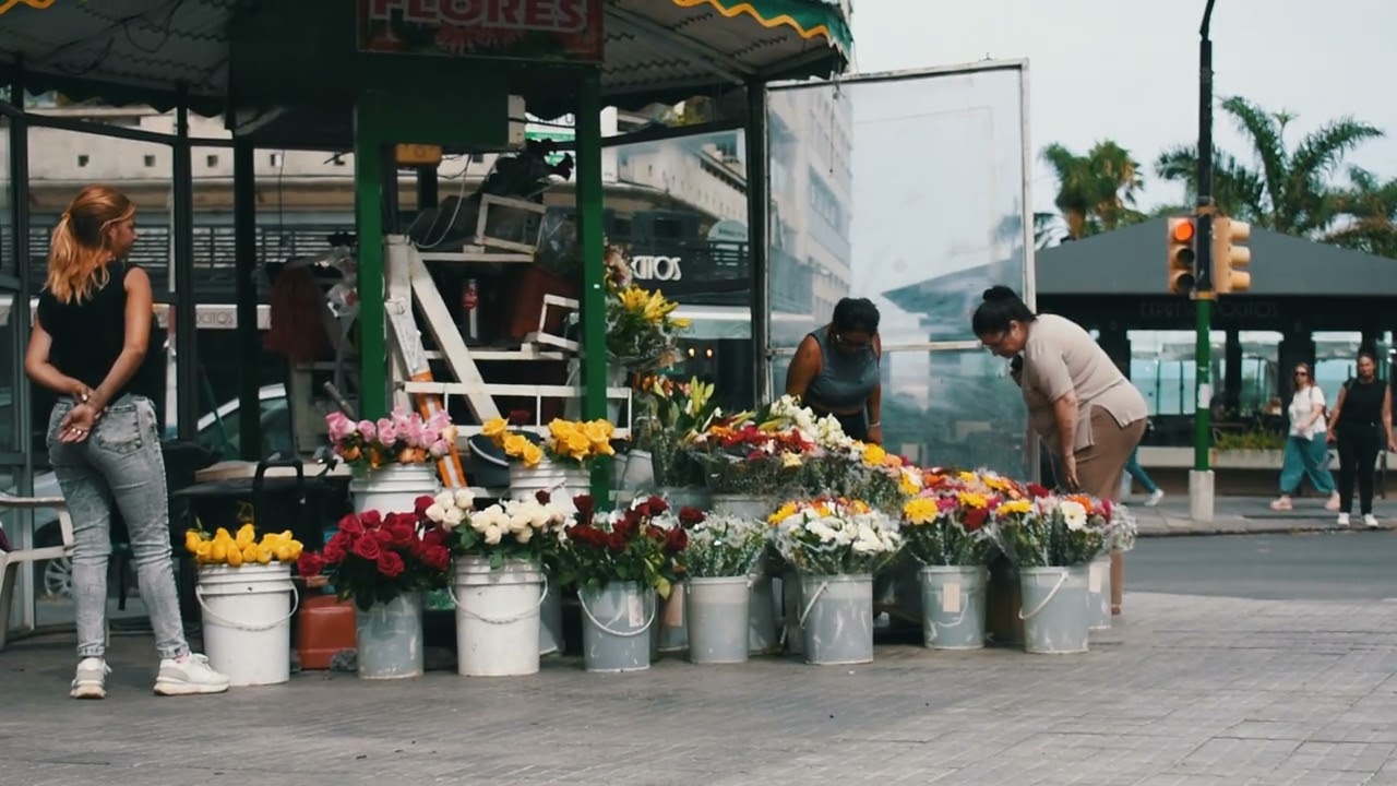 Expediente Urbano N1