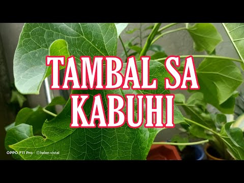 Tambal Para Kabuhi | Requested