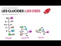 Glucides  les oses  biochimie facile