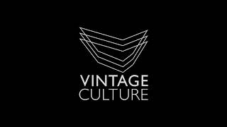 Vintage Culture, Fancy Inc - Free (Intrumental Version) (No vocal version / Versão sem vocais)