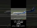あのさぁ…前の着陸越えないでくんない？ #a321 #rfs 飛行機　飛行機好き　#シュミレーター　#フライトシュミレーター　#ゲーム