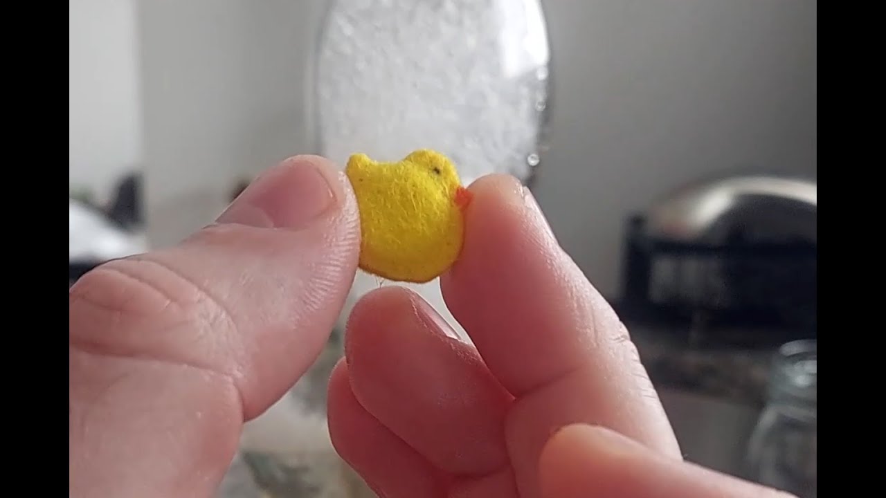 How to clean your bong (with Scrubber Duckys)