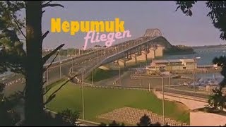 nepumuk - fliegen