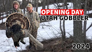 Utah Spring Turkey Hunt (INSANE GOBBLING)! Public Land Success!