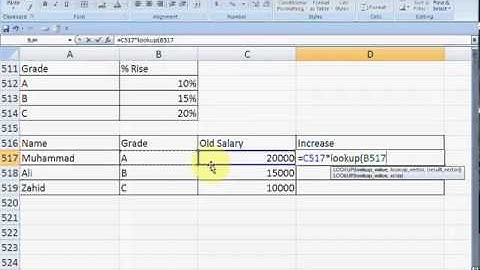 Excel Formulas Urdu Tutorials   Part 19   by Irfan Wazir Ali